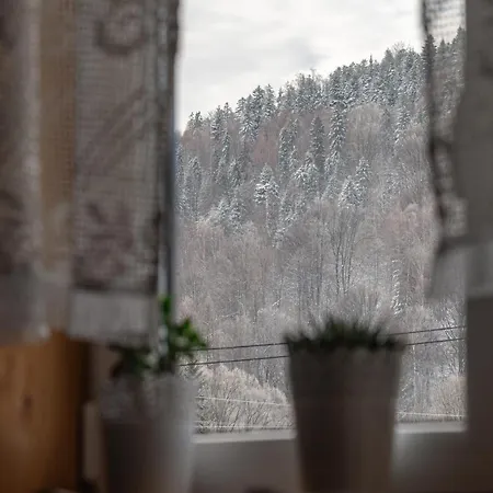 Alpesi faház Andiamo